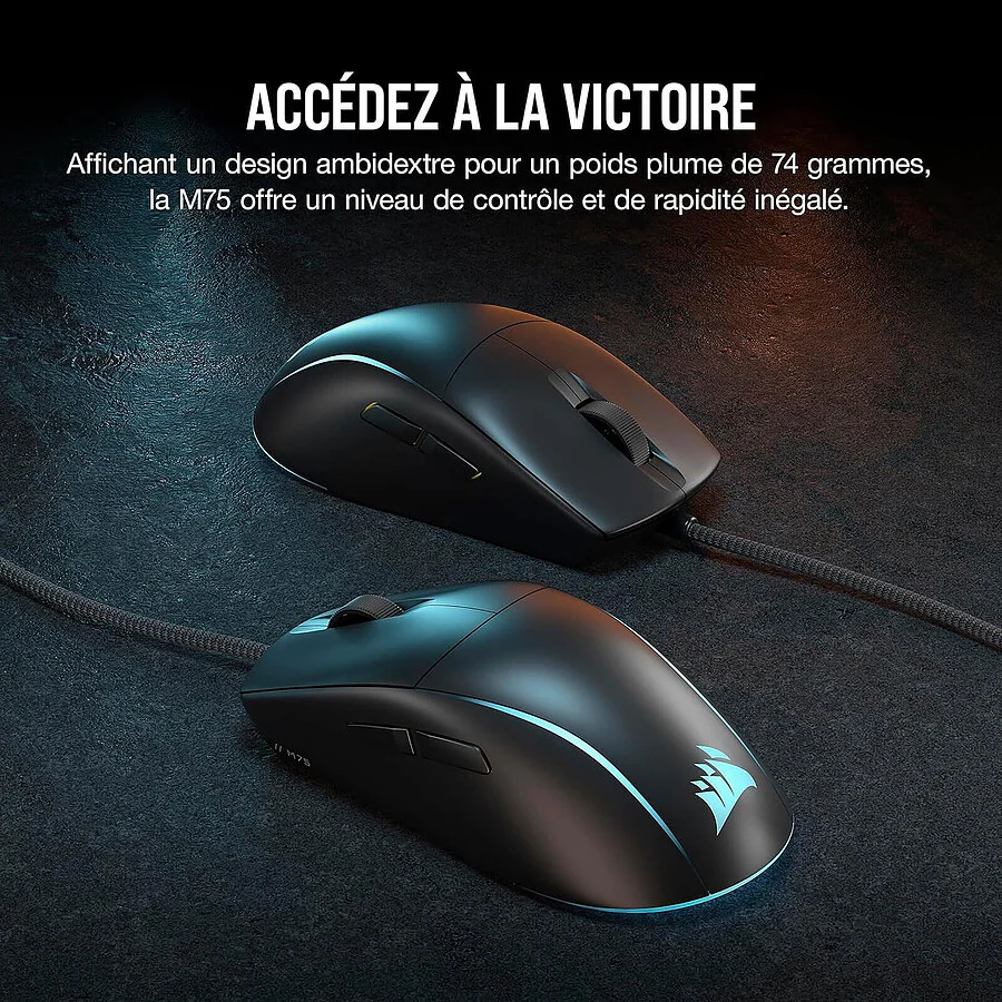 Caractéristiques