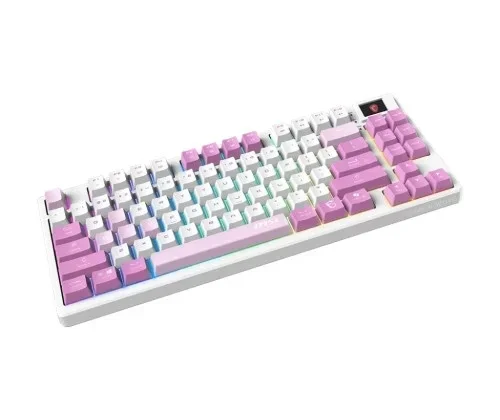 CLAVIER MSI GK600 TKL VIOLET (2/5)