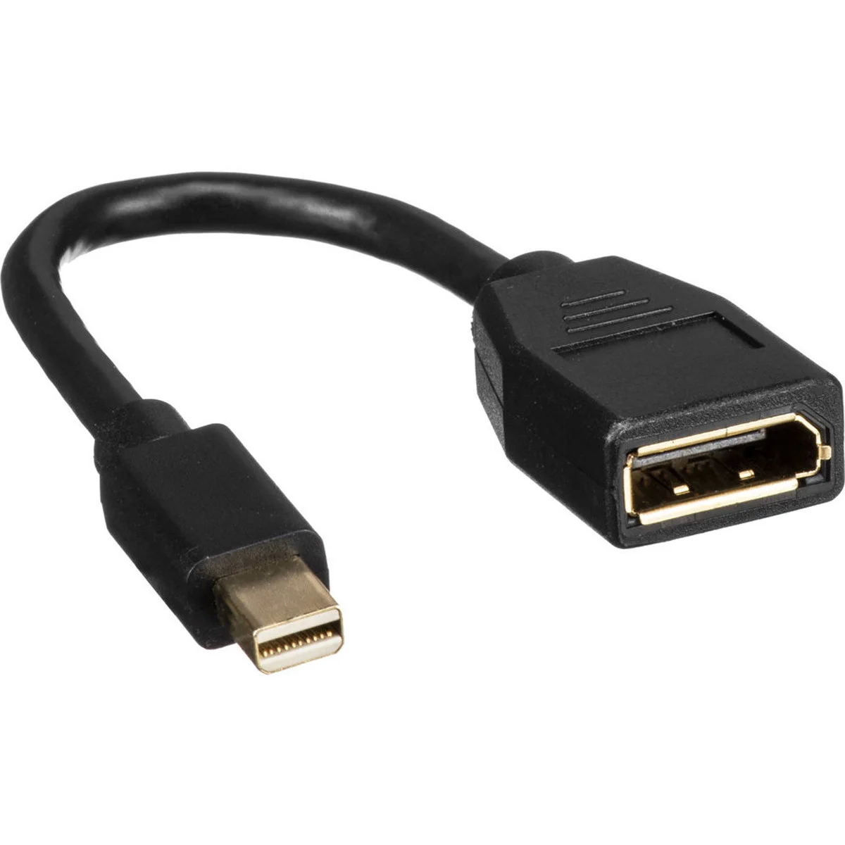 ADAPTATEUR MINI DP VERS DP (1/1)