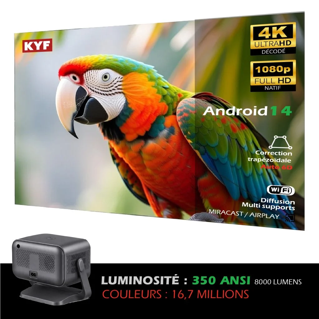 KIT HOME CINEMA EXTERIEUR VIDEOPROJ+ECRAN GONF+HP (4/8)